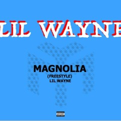 Magnolia (Freestyle)