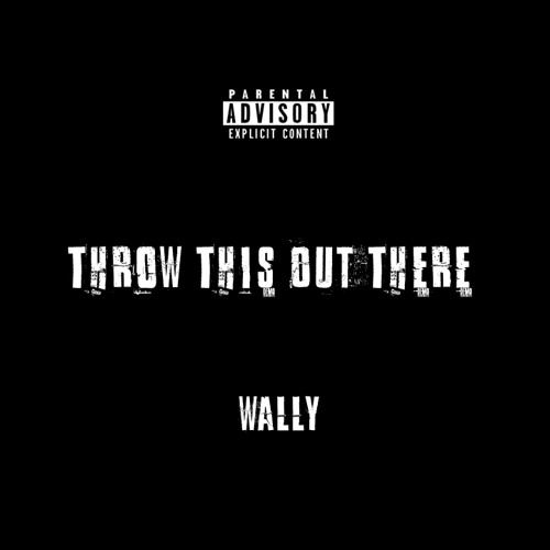 Throw This Out There - WallY