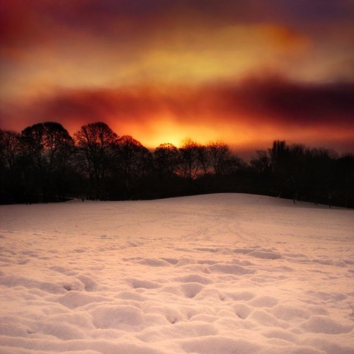 Hope For The Best, Prepare For The Worst (instrumental)