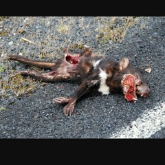 Benji Black - Get Taz Da Fuck Outta Here.mp3