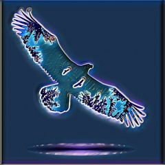 Stuck in an Eagle Dream