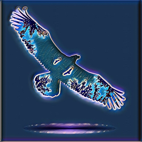 Stuck in an Eagle Dream