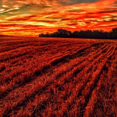 4th of July FX guitar