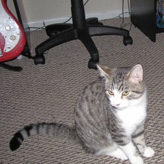 Only Come Out to Fuck