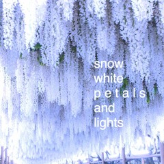 snow white petals and lights