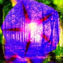 Morning Glory