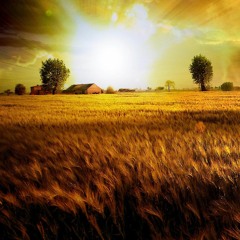 God Girl by Jamie-Grace (Acoustic cover)