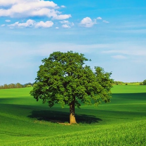 Yours Forever by Dara Maclean (Acoustic cover)