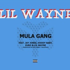 Lil Wayne - Mula Gang Feat. Jay Jones, HoodyBaby & Euro (IN TUNE WE TRUST) *Buy 4 Free Download*