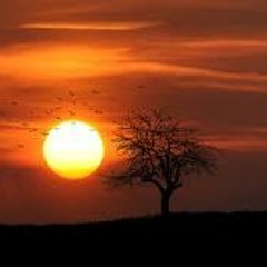 PS Troika - Tasakesi