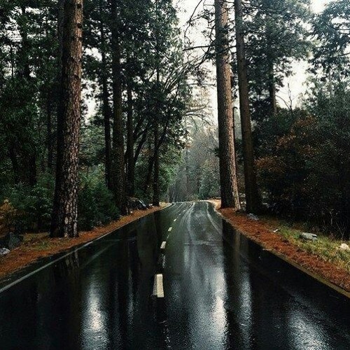 Behold I Stand at the Door (Rev 3:20)