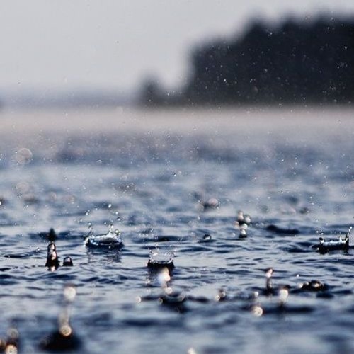 Ask Rain of Jehovah (Zech 10:1)