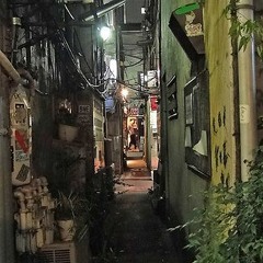 ゴールデンガイ