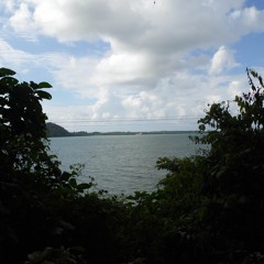 W A T E R (Home edition)