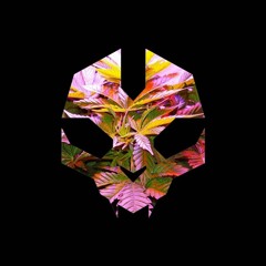 SKRILLEX x HABSTRAKT - CHICKEN SOUP (JVSTSAYIN VIP)