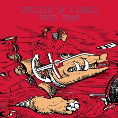 Species of Fishes - Crash Recovery (short edit)