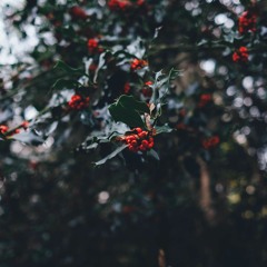 هزاع البلوشي تلاوة لسورة الدخان