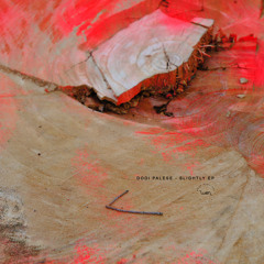WEN012 | Dodi Palese - Slightly Ep
