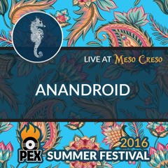 anandroid at PEX Summer Fest 2016 | Friday night at Meso Creso