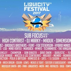 Liquicity Festival 2017 Warmup mix