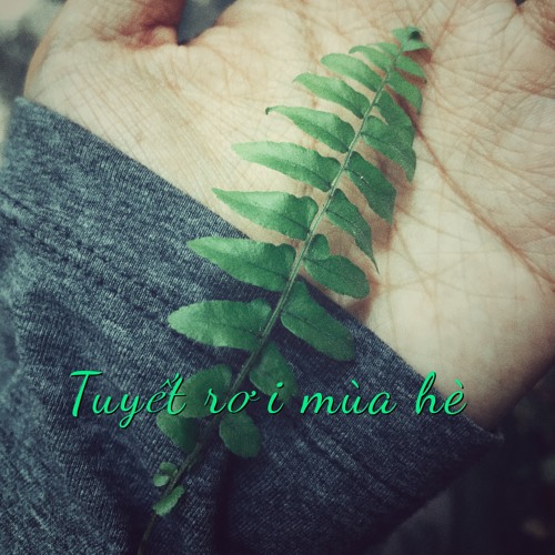 Tuyet Roi Mua He (Tran Le Quynh) - Ho Tien Dat