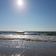 Wednesday Chill #5