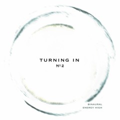 Turning in Meditation, Vol. 2