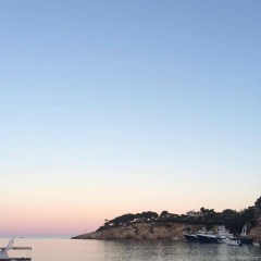 vid protesfabrikens stängsel