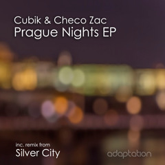 Cubik & Checo Zac - Dumb But Beautiful (Silver City Remix)