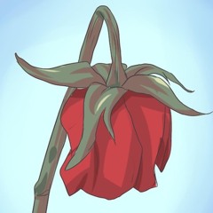 Dying Rose Feat. SDM