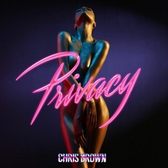 Chris Brown Privacy (1ryan remix)