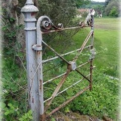 Rusty Gated Noise Community