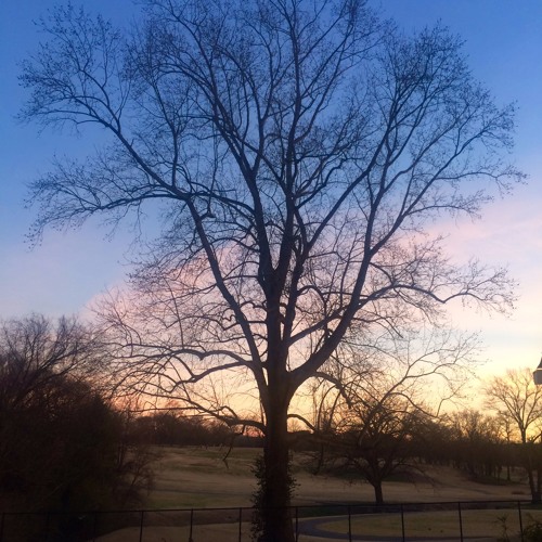 Aaron Kernis: Lullaby