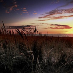 Summer's Fading