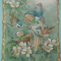 Elfrin si puiul de sturz