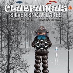 Silver Snowflakes ❄️