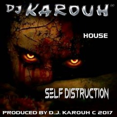 SELF DISTRUCTION / HOUSE MUSIC