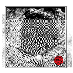 FH073 COPS - Austerity Measures