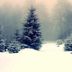 Calibre - Wilderness (feat. Steo)