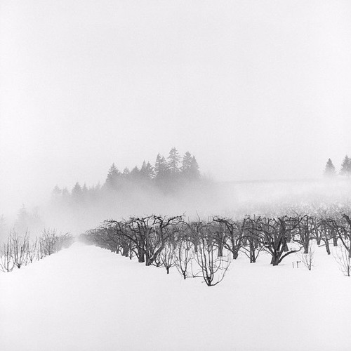 Compact Depth