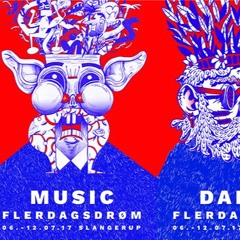 Flerdagsdrøm 2017