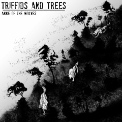 Louisiana Swamp Stomp