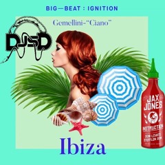 Jax Jones Ft. Demi Lovato Vs. Gemellini- Ciano Instruction (ScottyD Mashup)