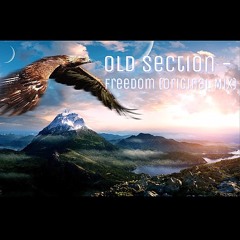 Old Section - Freedom (Original Mix)
