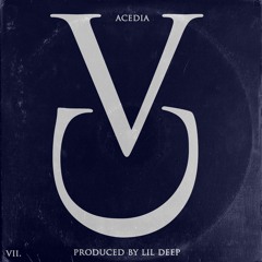 VII. ACEDIA (Prod. LIL DEEP)