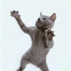 J-me - So you think you're fly