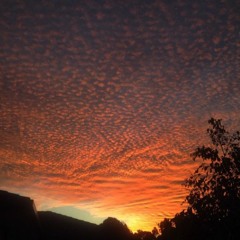 Johnny Cash - It's All Over - Cover