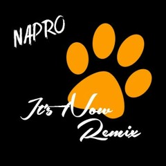 NAPRO - It's Now
