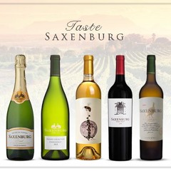 Exploring Saxenburg Wine