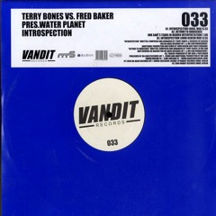Terry Bones vs Fred Baker - Introspection (Kamil Brandt Bootleg) [FREE DOWNLOAD]